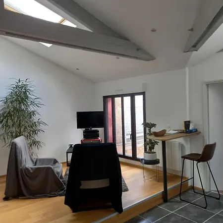 Appartement Grand Duplex Hyper Centre *