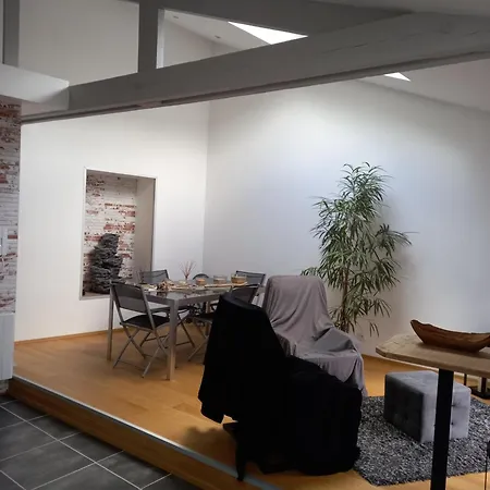 Grand Duplex Hyper Centre דירה לה מאנש